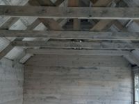 20 08 18Cottageline2